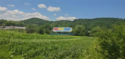 Teren intravilan comuna Bogati sat Birloi Jud. Arges - foto 4