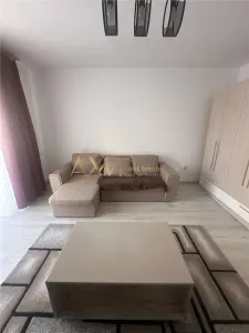 Inchiriere apartament 1 camera Timisoara Calea Urseni - foto 22