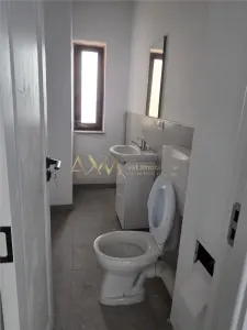 Inchiriere SAD Timisoara Calea Sagului - foto 11