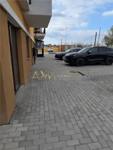 Inchiriere SAD Timisoara Calea Sagului - foto 2