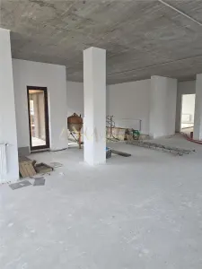 Inchiriere SAD Timisoara Calea Sagului - foto 10