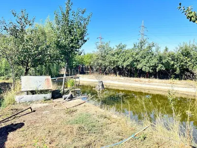 Casa si teren 3567 mp cu piscina, livada si helesteu – Corlatesti - foto 19