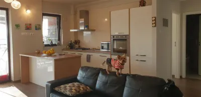 Inchiriere apartament  2 camere Ploiesti, zona Albert - foto 19