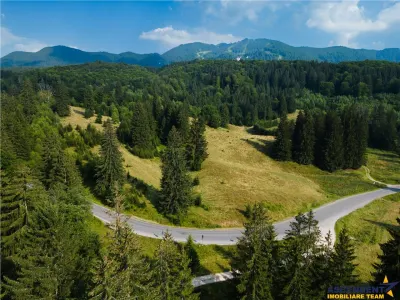 Film! Teren cu destinatie turistica si agrement, Poiana Brasov - Rasnov - foto 6
