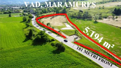 VIDEO | Teren 5.194 m² | 181 metri front la strada Principala (DJ 182C) | Servicii - foto 6