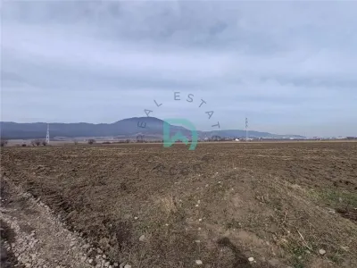 Teren intravilan Industrial, 38800 mp, cu Autorizatie de Construire, Codlea Brasov - Codlea