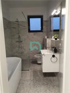 Casa de inchiriat,  Carpinis - foto 4