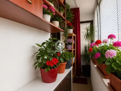 Apartament 2 camere decomandat Valea Lupului - foto 4