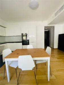 INCHIRIERE APARTAMENT DE LUX 3 CAMERE PARCARE SUBTERANA & BOXA ZONA KISELEFF SECTOR 1 - foto 7