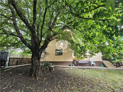 Vilă Individuala 5 camere în Aroneanu, Iași – 160 mp Utili, Teren 786 mp & Anexă Locuibilă - foto 2
