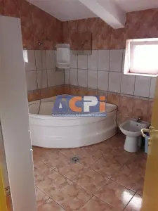Inchiriere Vila Lux. 4 camere , Fundeni - foto 12