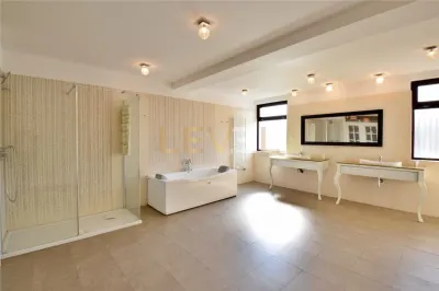 [VIDEO] Penthouse 4 camere de inchiriat 403 mp - Herastrau - foto 18