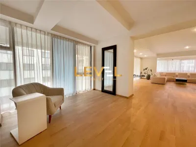 [VIDEO] Penthouse 4 camere de inchiriat 403 mp - Herastrau - foto 10