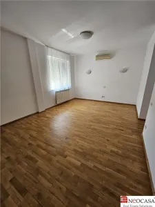IANCU NICOLAE, S+P+1, 6 CAMERE, 410 MP, PISCINA, CURTE SUPERBA! - foto 22