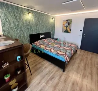 Garsoniera renovata gGarii- Victoriei - foto 2