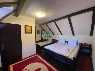 REDUCERE PRET - VAND PENSIUNE CU 7 CAMERE IN SIGHISOARA LA 800 MP DE CETATE - foto 9