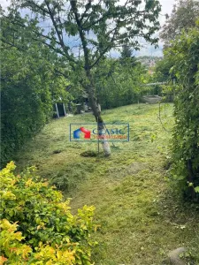 Inchiriere casa 3 camere cu gradina de 500 mp in Dambul Rotund - foto 3