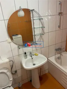 Inchiriere casa 3 camere cu gradina de 500 mp in Dambul Rotund - foto 10