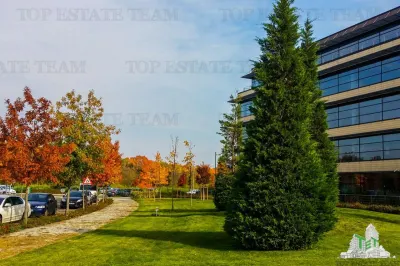 Spatiu de Birouri de 543 mp in Zona Baneasa - foto 10
