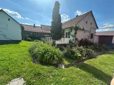 Bocsa Montana, Casa mare la strada principala - foto 23