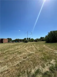 Teren- MOSNITA NOUA- DOUA FRONTURI STRADALE - foto 3