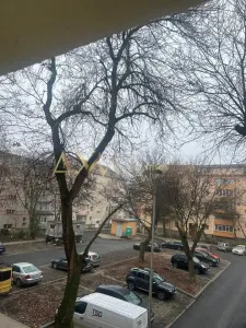 Vanzare apartament 3 camere Timisoara Calea Lipovei - foto 16