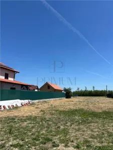 2 Terenuri- MOSNITA NOUA- Toate utilitatile - foto 3