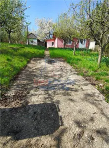 UAT Iasi - Trecatoarea Paun - ideal pentru casa - Bucium 750mp - foto 5