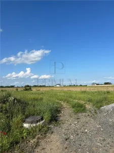 24 Terenuri- Mosnita Noua- TOATE UTILITATILE- zona in plina dezvoltare - foto 5