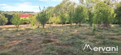 Vila de vanzare cu 6 camere si teren de 5116 mp in Cornu - foto 13