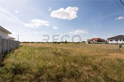 RECO Teren intravilan Grigorescu, gaz si curent - foto 11