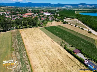 FILM! Valea Crisului,2.300mp,in vecinatatea lacului,aproape de Sfantu Gheorghe - foto 5