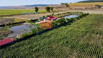 OPORTUNITATE! Proprietate deosebita de vanzare | Casa, 13.200 mp teren, doua iazuri cu peste | Raducaneni, Iasi - Raducaneni