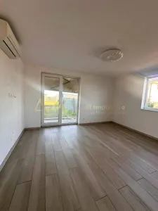 Vanzare SAD Mosnita Noua - foto 3