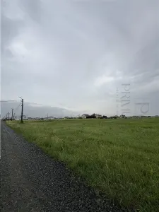 Terenuri- MOSNITA NOUA- TOATE UTILITATILE- suprafete cuprinse intre 665 si 1.182 mp - foto 4