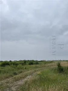 Terenuri- MOSNITA NOUA- TOATE UTILITATILE - foto 2