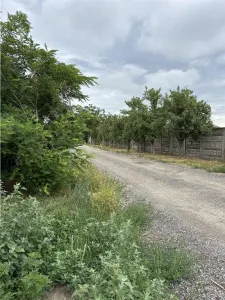 Teren- MOSNITA VECHE- Toate utilitatile + str. pietruita - foto 3