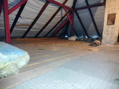 Resita Casa Zona Gradina Zoologica - foto 16