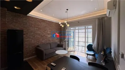 Inchiriere apartament 2 camere de LUX in Centru zona Casa de Cultura si UMF - foto 4