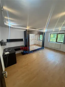 Rond Vechi - Nicolina Apartament 2 camere decomandat - foto 4