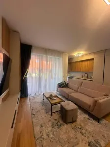Inchiriere apartament 2 camere Timisoara - foto 21