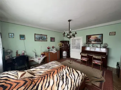 Casă spațioasă cu teren generos de 1.656 mp, într-o zonă liniștită din orașul Livada - foto 17