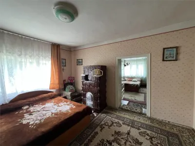 Casă spațioasă cu teren generos de 1.656 mp, într-o zonă liniștită din orașul Livada - foto 20