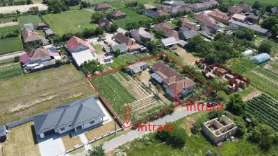 Casă spațioasă cu teren generos de 1.656 mp, într-o zonă liniștită din orașul Livada - foto 3