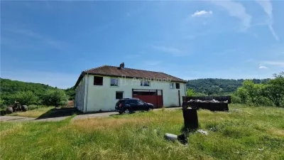 Farliug Casa sau Afacere 125 000 euro - foto 8