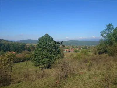 Teren intravilan si cladiri in Lunca - foto 2