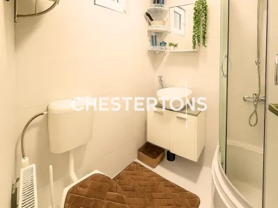Casa cocheta renovata, curte interioara proprie, zona frumoasa langa parc Carol - foto 5