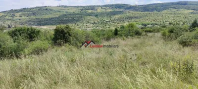 Teren Intravilan 586 mp în Rădaia ! Doar 23.000€ ! Zonă în plina dezvoltare! - foto 3