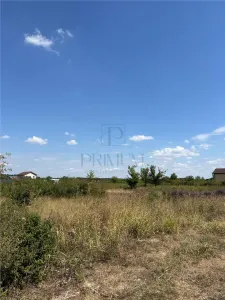 Teren - Mosnita Veche - 2 Fronturi Stradale - Zona linistita - foto 2