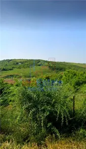 Teren intravilan de vanzare in Bucium - Strada Fermei - foto 4